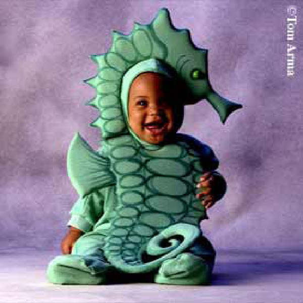 bebe hipocampe-humourenvrac